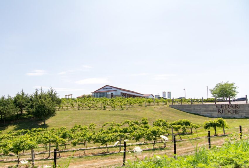 Homes for Sale in Swisher ⋆ Rachel + Molly Real Estate