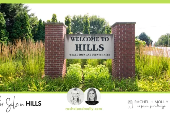 Homes for Sale in Hills