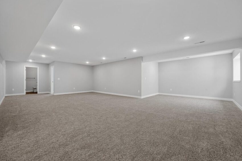 Finished lower level with wall-to-wall carpet, light gray walls, and white trim.