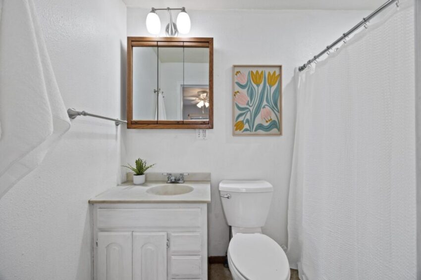 Bathroom with white cabinet and shower curtain.