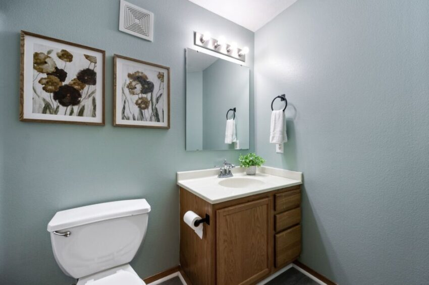 Small bathroom with sink, toilet, mirror, and floral artwork on the wall.