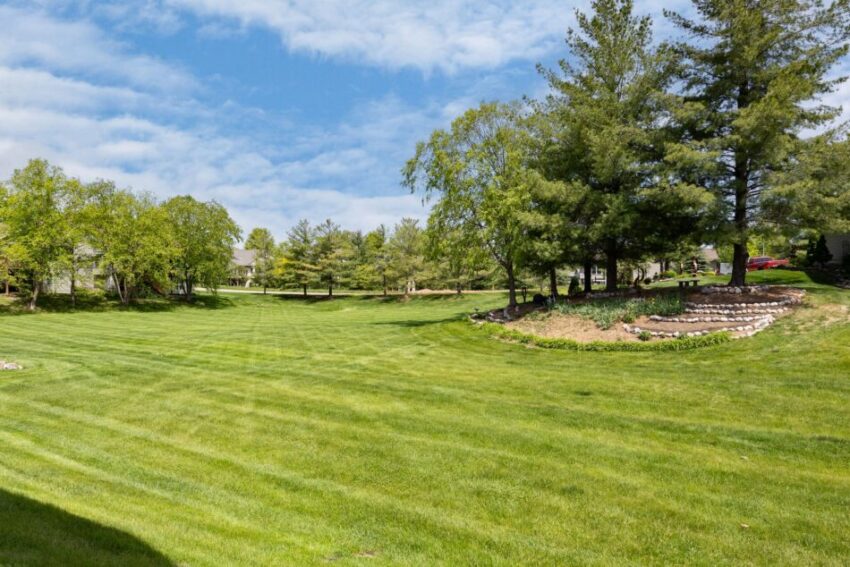 Spacious green lawn with trees and a clear blue sky.